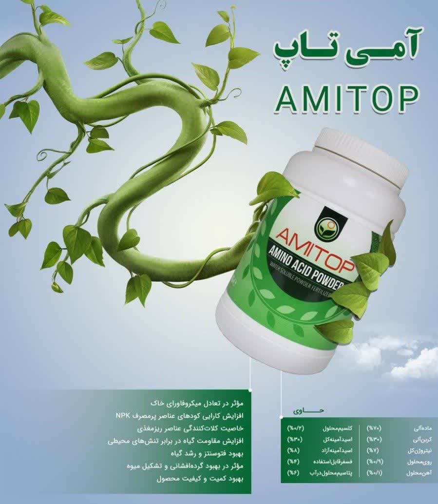 کود آمی پاپ