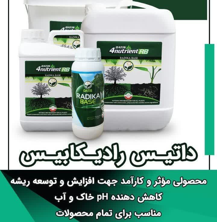 کود داتیس رادیکا بیس