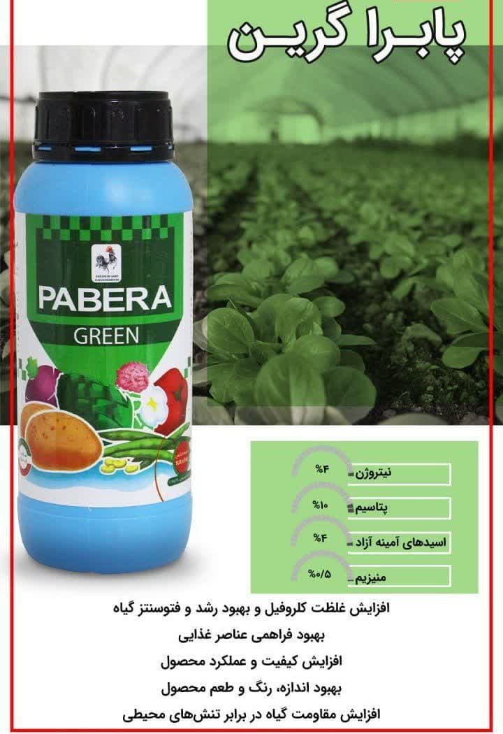  افزایش غلظت کلرو فیل و بهبود رشد و فتوسنتز گیاه