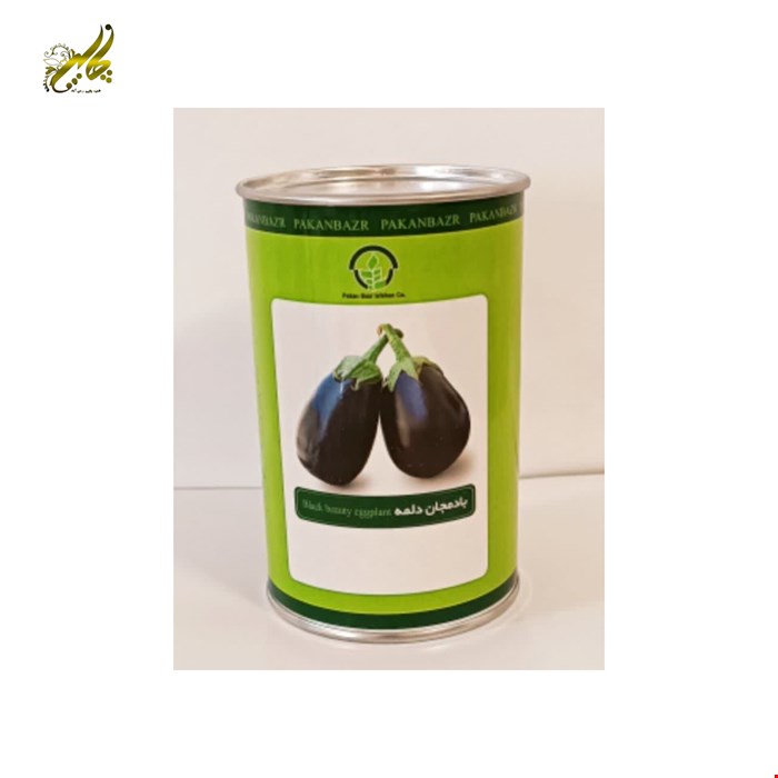 بادمجان دلمه ای