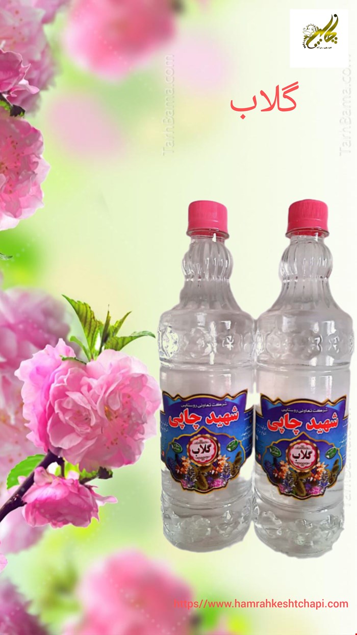 گلاب 