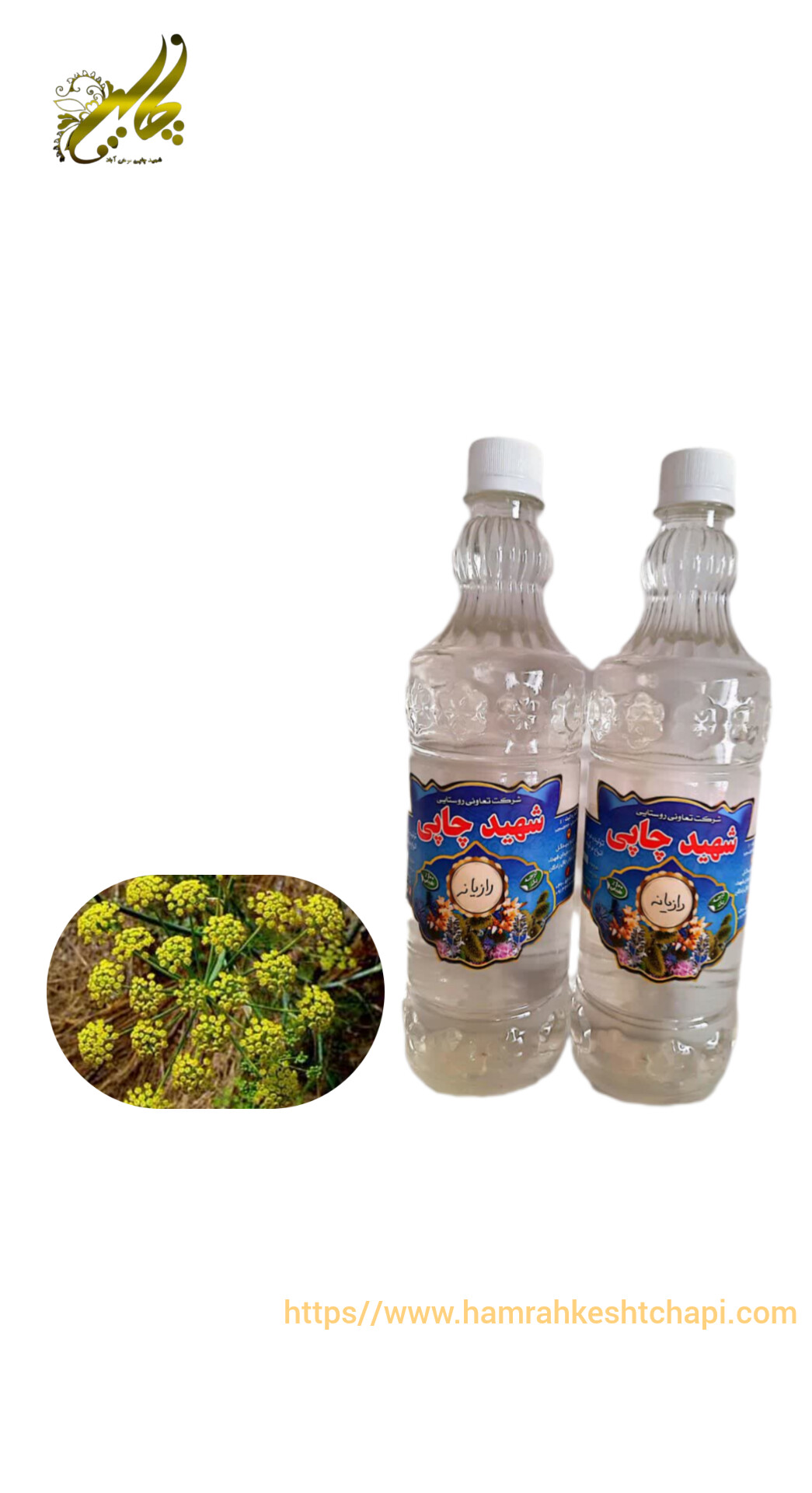 عرق رازیانه