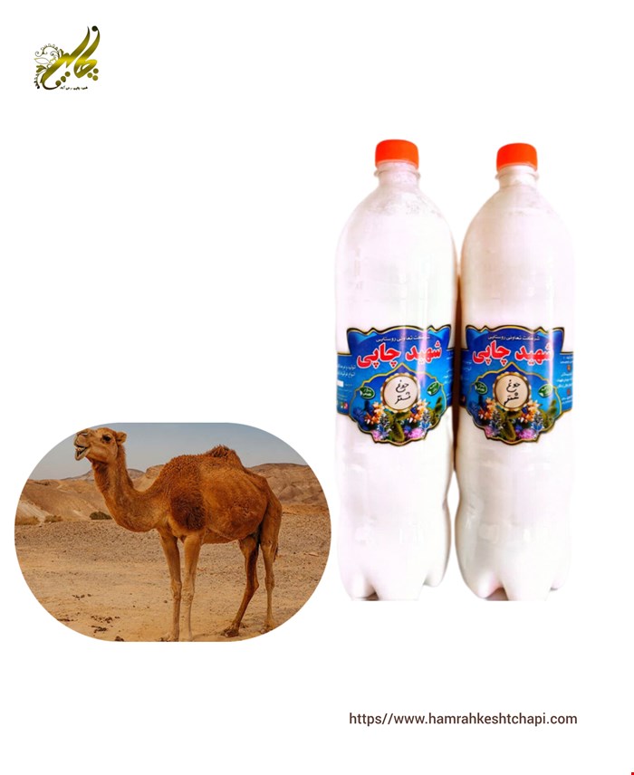 دوغ شتر