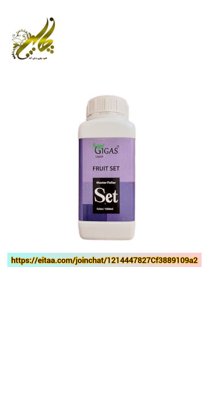 فروت ست ژیگاس