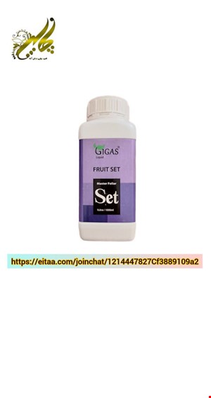 فروت ست ژیگاس